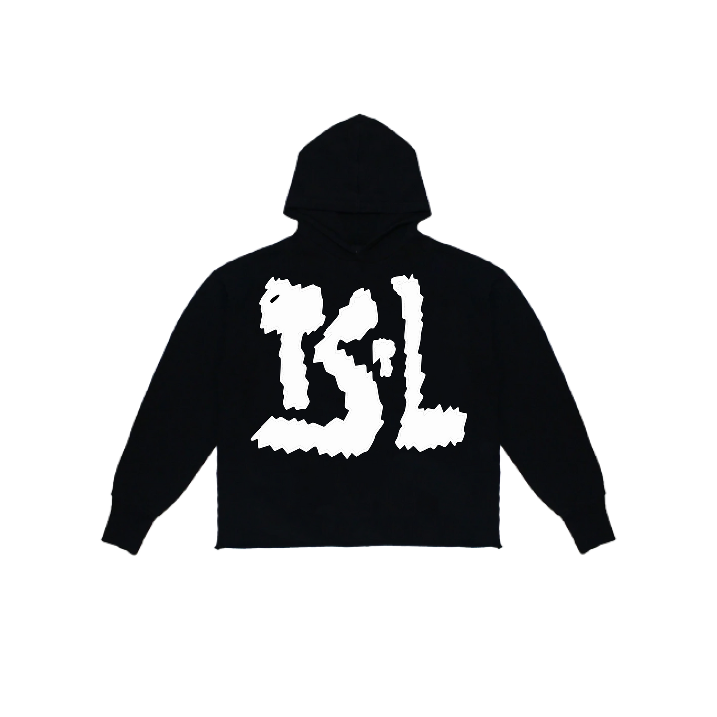 TSTL CROPPED HOODIE